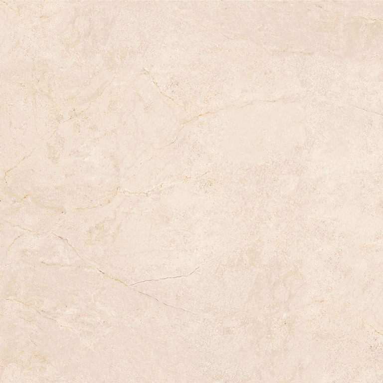 ARGOS_70X70_POLIDO_L5_TM1_17_08_20_F5.png