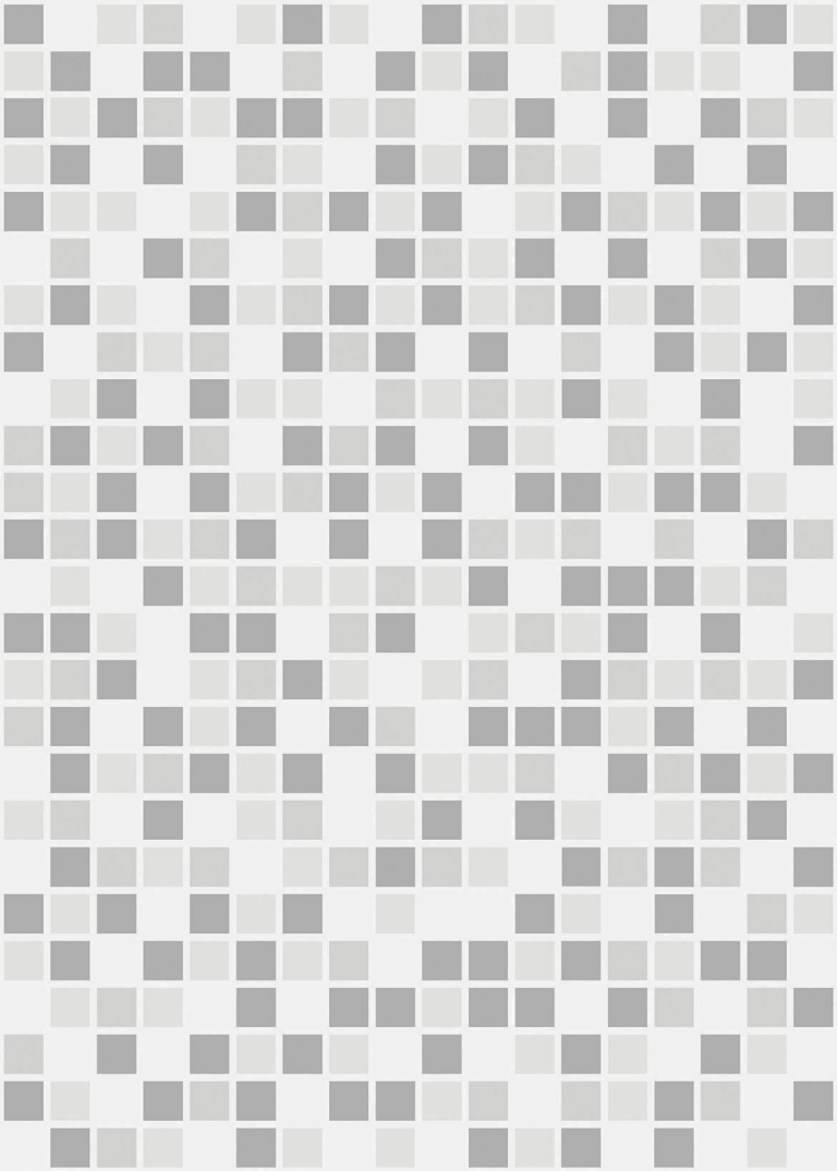 CARIRI_CINZA_F1_L7-140219.png