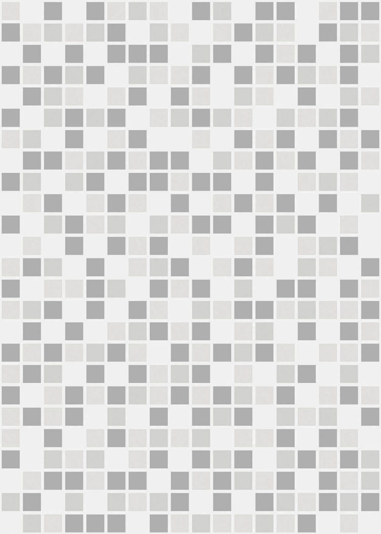 CARIRI_CINZA_F2_L7-140219.png