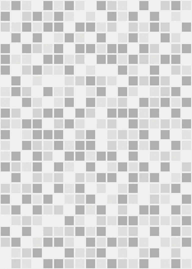 CARIRI_CINZA_F3_L7-140219.png