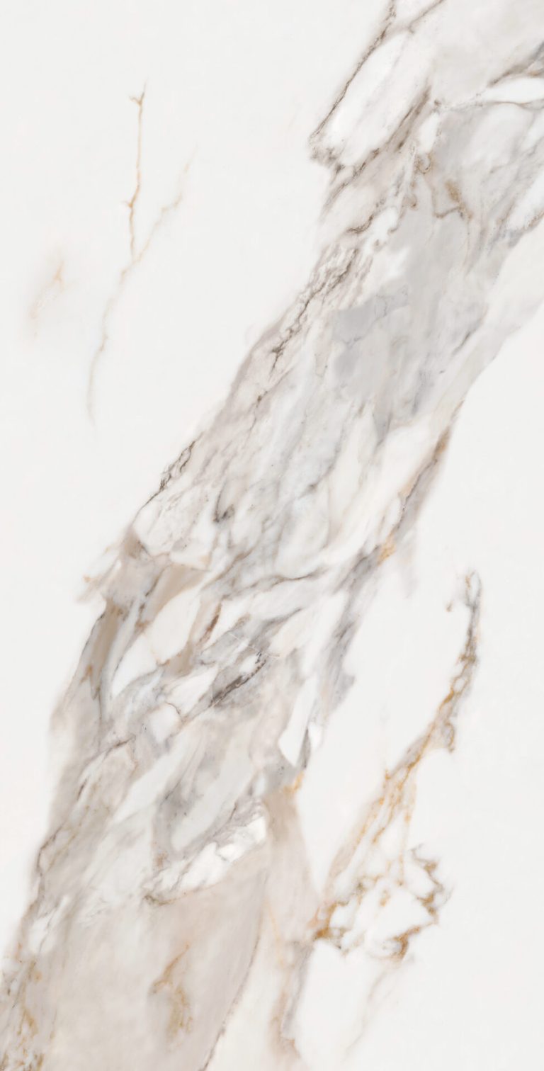 CALACATA-ORO-SUPREME_60X120_L8_F14.jpg