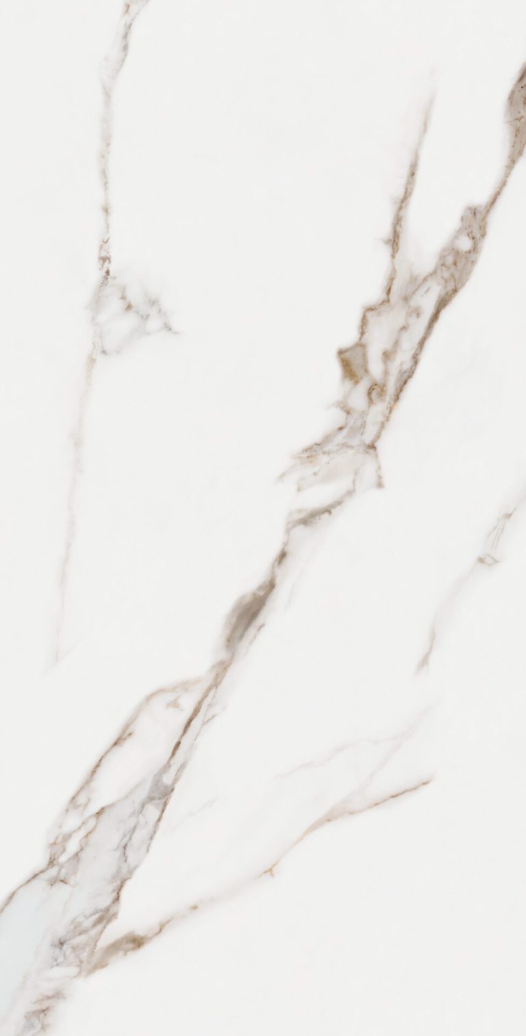 CALACATA-ORO-SUPREME_60X120_L8_F22.jpg