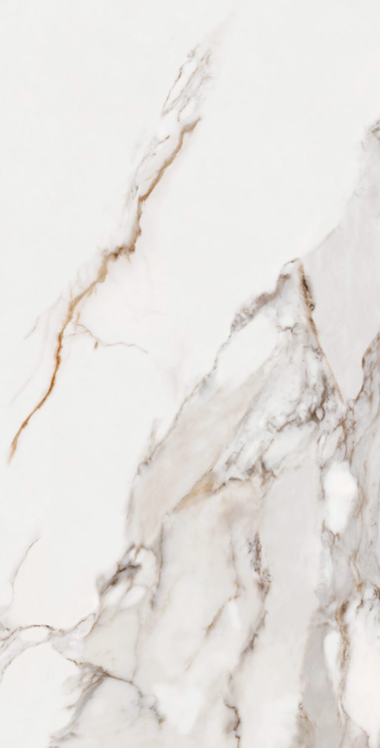 CALACATA-ORO-SUPREME_60X120_L8_F25.jpg