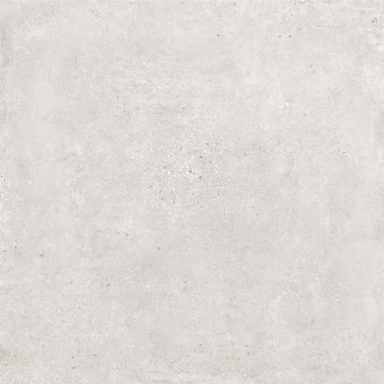 CEPPO-GRIS-F1-1.png