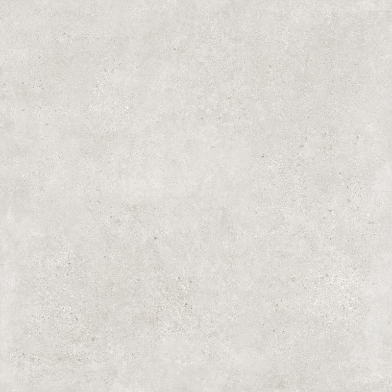 CEPPO-GRIS-F13-1.png