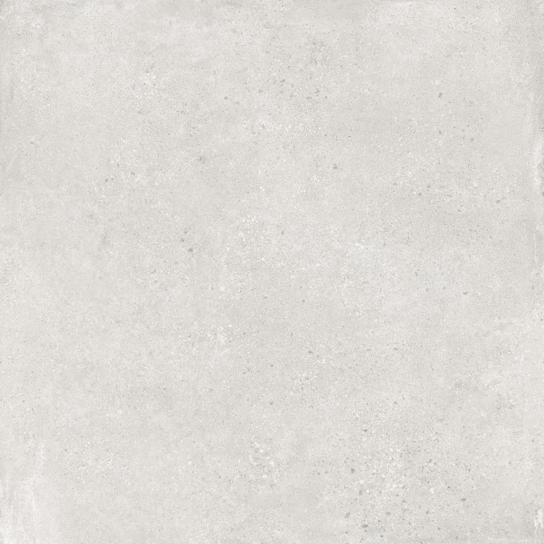 CEPPO-GRIS-F6-1.png