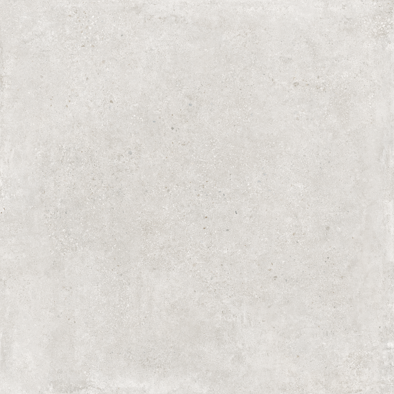CEPPO-GRIS-F8-1.png