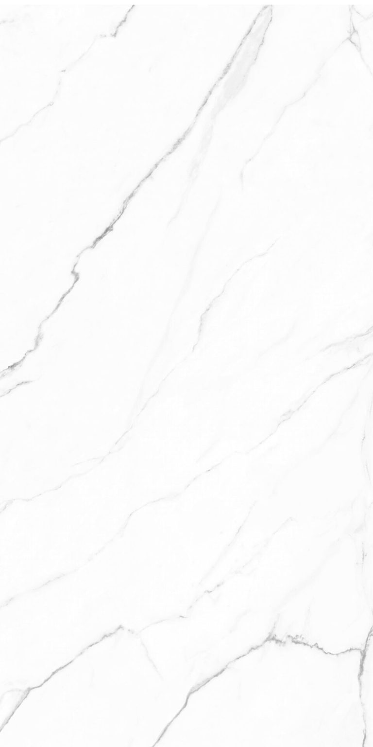 OLIMPO-60X120-F4_02.jpg