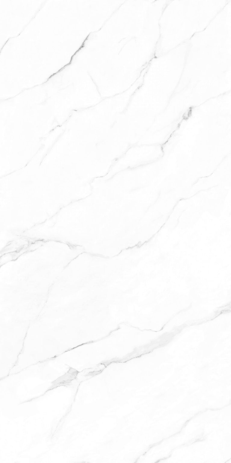 OLIMPO-60X120-F7_01.jpg