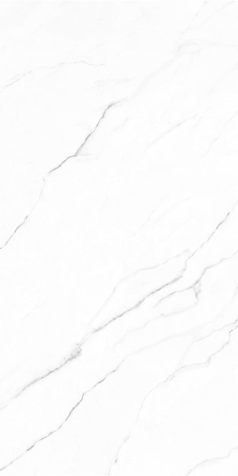 OLIMPO-60X120-F8_02.jpg