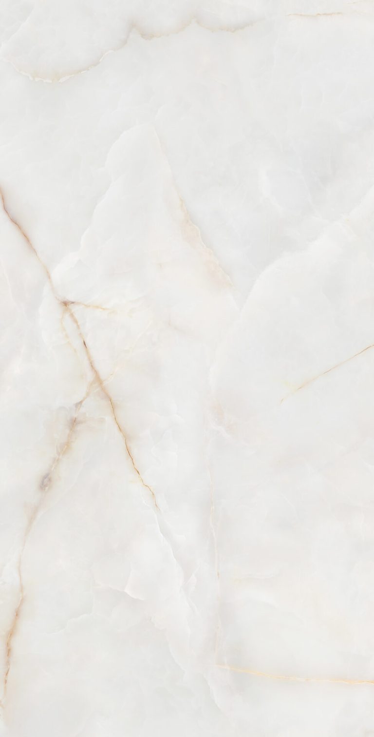 ONYX-REALE_60x120_F23.jpg