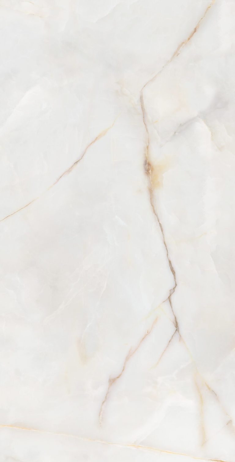 ONYX-REALE_60x120_F24.jpg